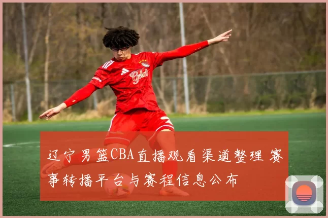 辽宁男篮CBA直播观看渠道整理 赛事转播平台与赛程信息公布