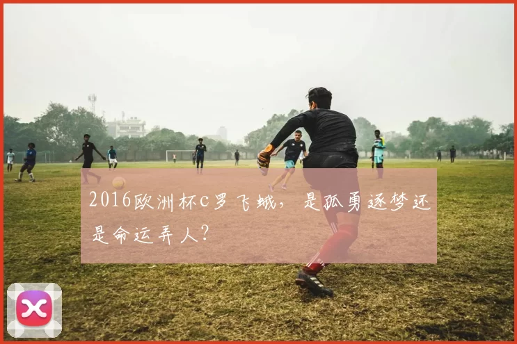 2016欧洲杯c罗飞蛾,是孤勇逐梦还是命运弄人?