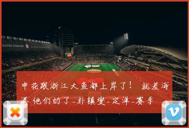 申花跟浙江大鱼都上岸了! 就差海港 他们的了_朴镇燮_定洋_赛季