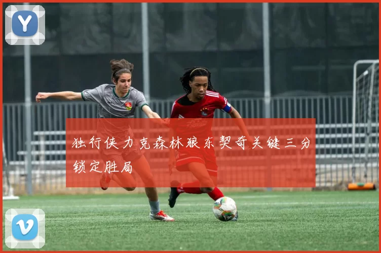 独行侠力克森林狼东契奇关键三分锁定胜局